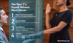 Expert Witness Services